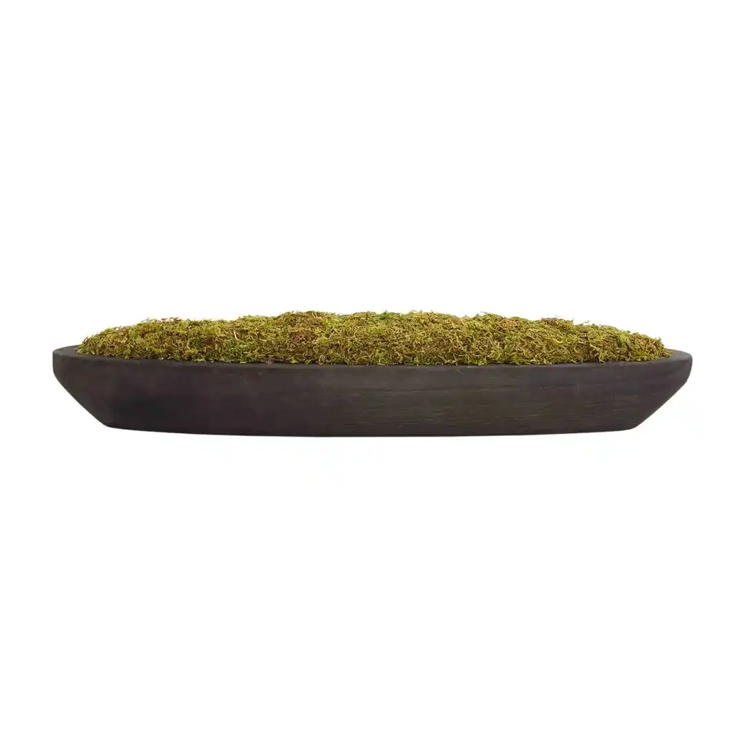 Mud Pie Moss Black TRAY 3 Mud Pie Moss Black TRAY