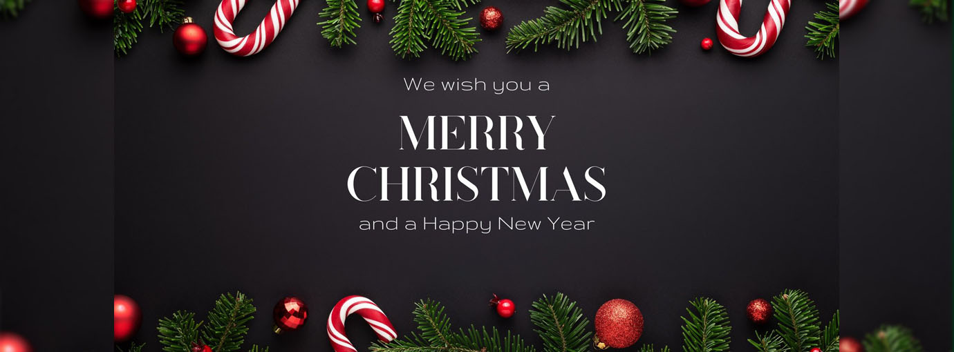 Skirt Sales Store -Skirt Sales Store 89